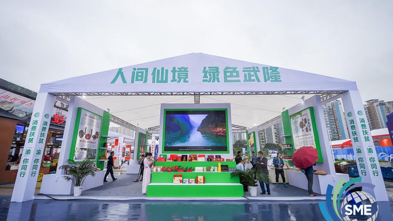 画册设计：分类与风格解析